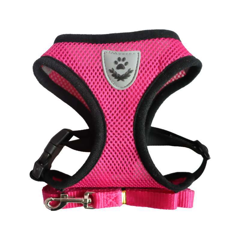 BreathableMesh Hundegeschirr & Leine Set – Ultraleicht & Komfortabel