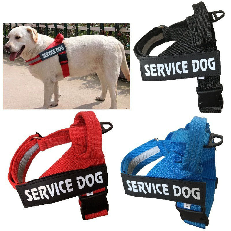 Premium No-Pull Hundegeschirr – Ergonomisch & Reflektierend