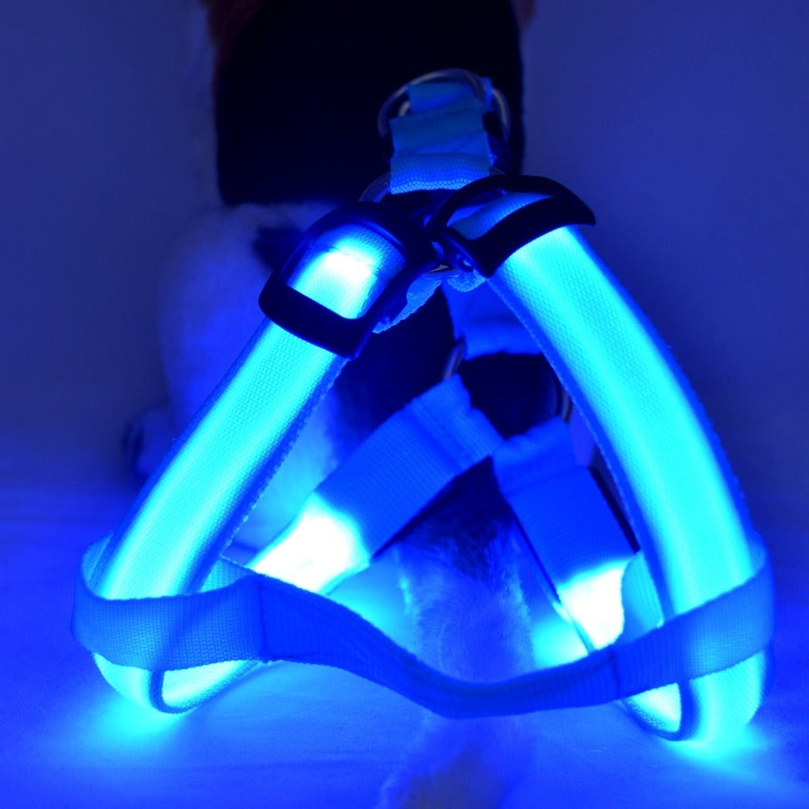 Multicolor LED Leuchtgeschirr für Hunde & Katzen – Sichtbar & Sicher
