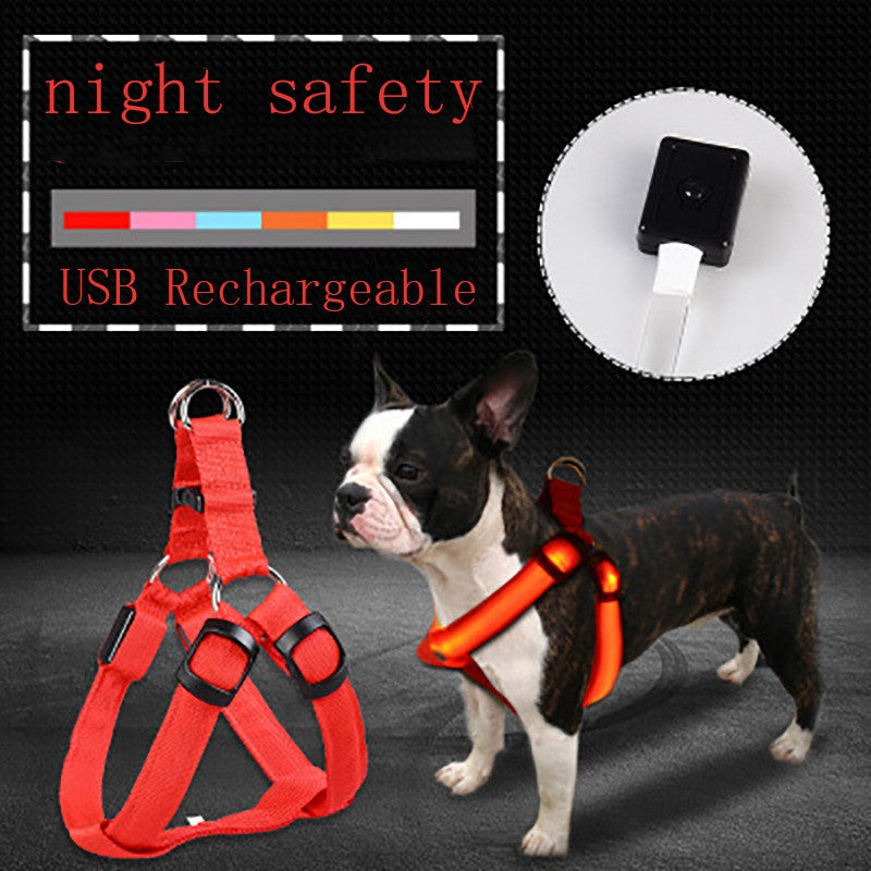 Multicolor LED Leuchtgeschirr für Hunde & Katzen – Sichtbar & Sicher