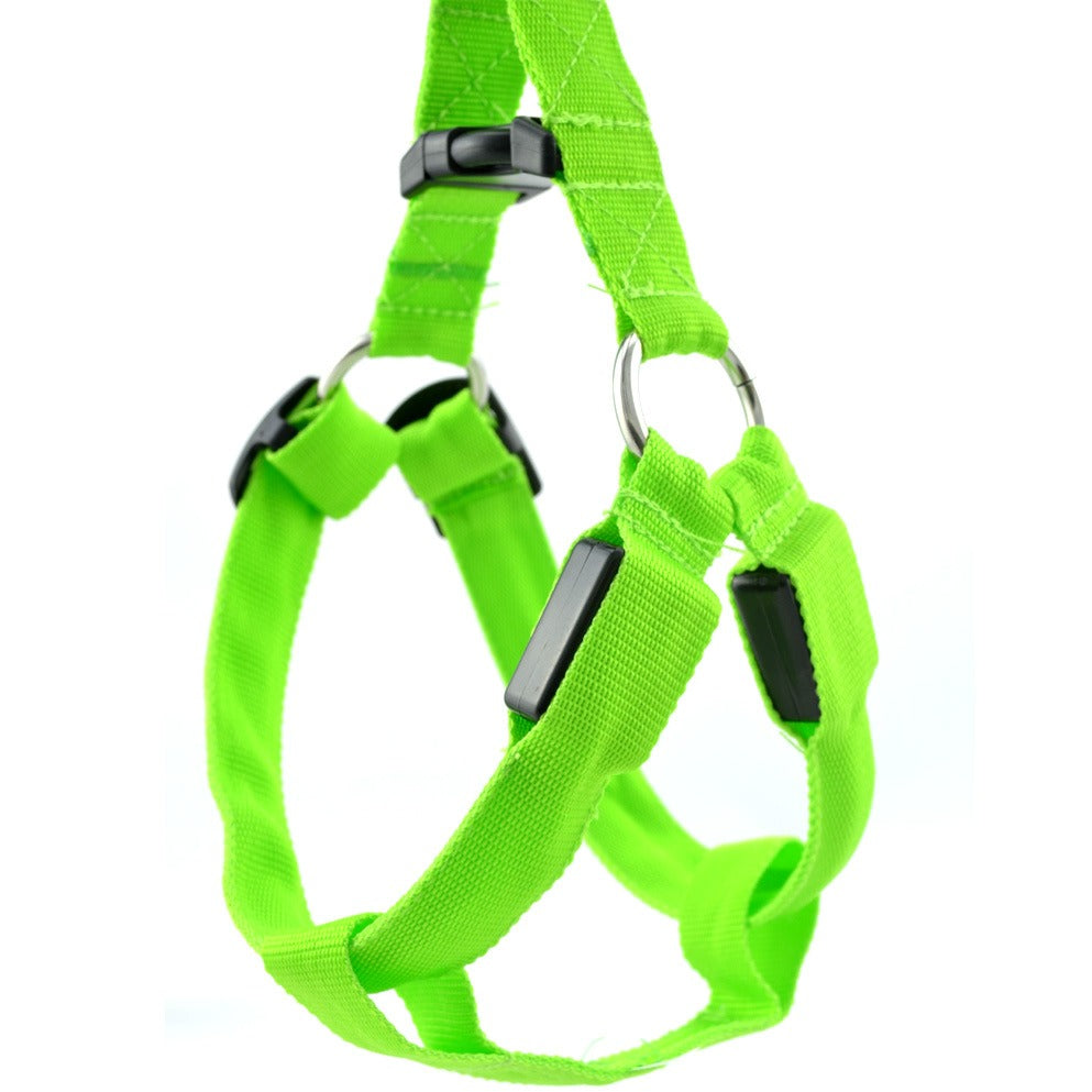 Multicolor LED Leuchtgeschirr für Hunde & Katzen – Sichtbar & Sicher