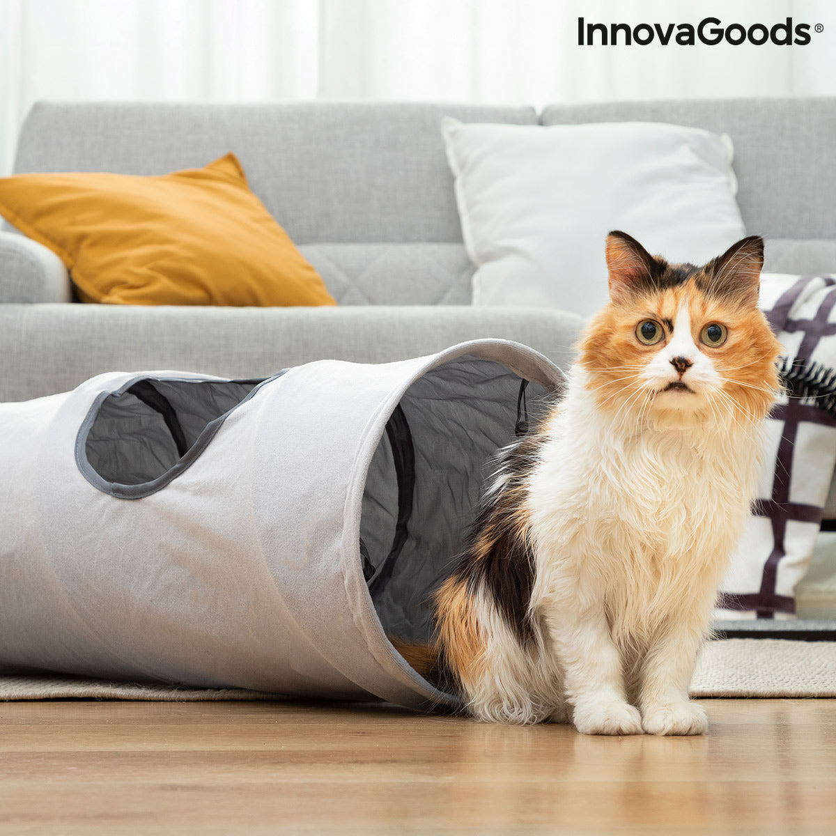 Faltbarer Katzentunnel Funnyi – Modulares Spiel- & Rückzugszentrum für Katzen (114 cm)