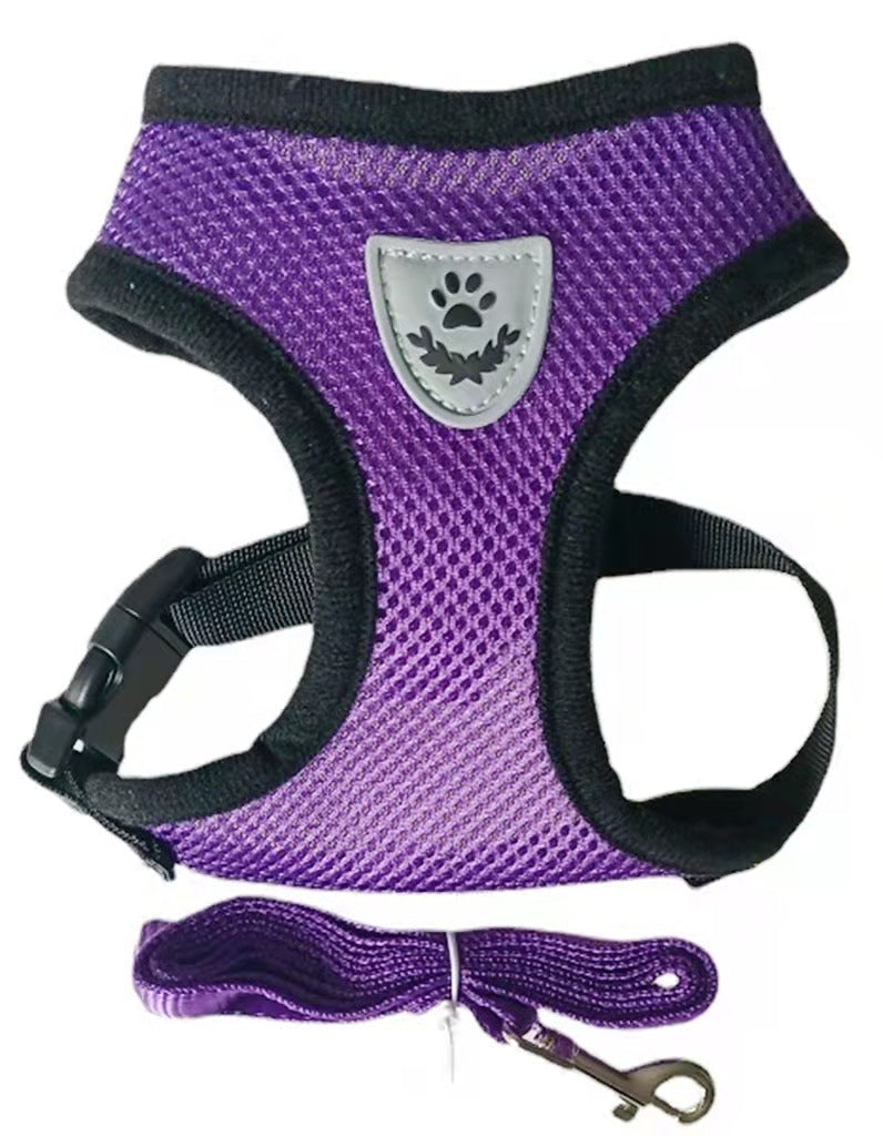 BreathableMesh Hundegeschirr & Leine Set – Ultraleicht & Komfortabel