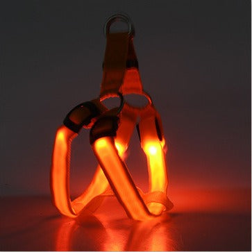 Multicolor LED Leuchtgeschirr für Hunde & Katzen – Sichtbar & Sicher