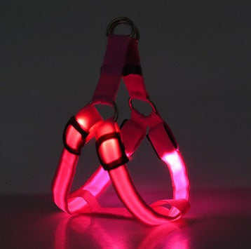 Multicolor LED Leuchtgeschirr für Hunde & Katzen – Sichtbar & Sicher
