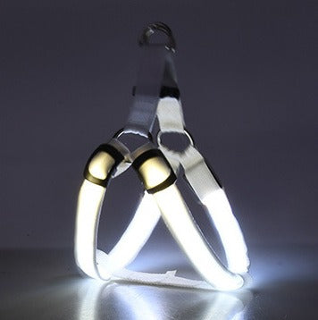 Multicolor LED Leuchtgeschirr für Hunde & Katzen – Sichtbar & Sicher
