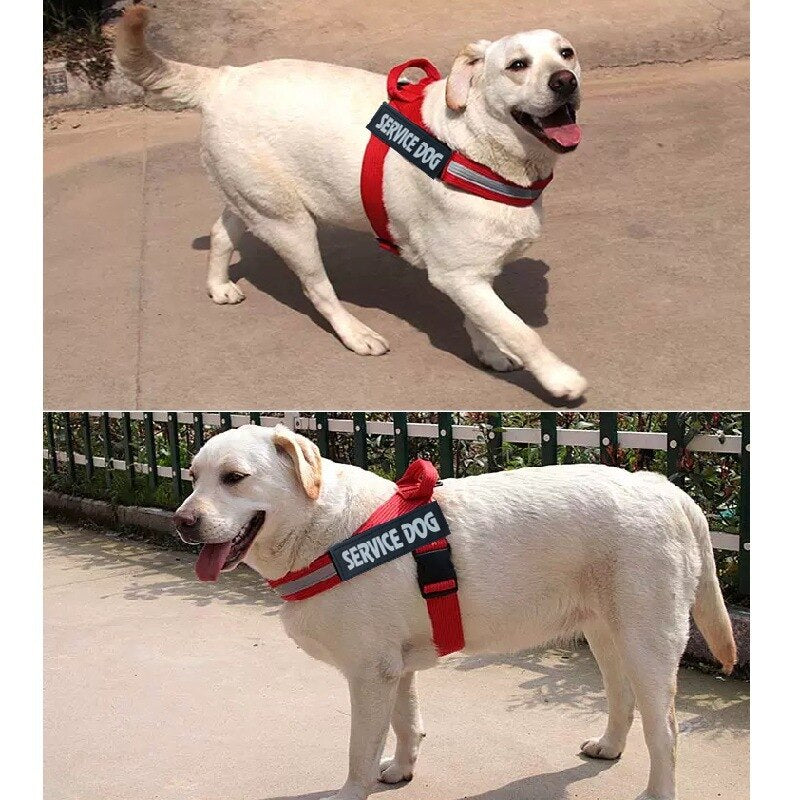 Premium No-Pull Hundegeschirr – Ergonomisch & Reflektierend