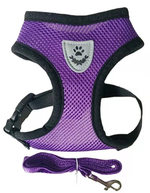 BreathableMesh Hundegeschirr & Leine Set – Ultraleicht & Komfortabel