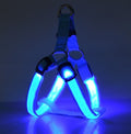 Multicolor LED Leuchtgeschirr für Hunde & Katzen – Sichtbar & Sicher