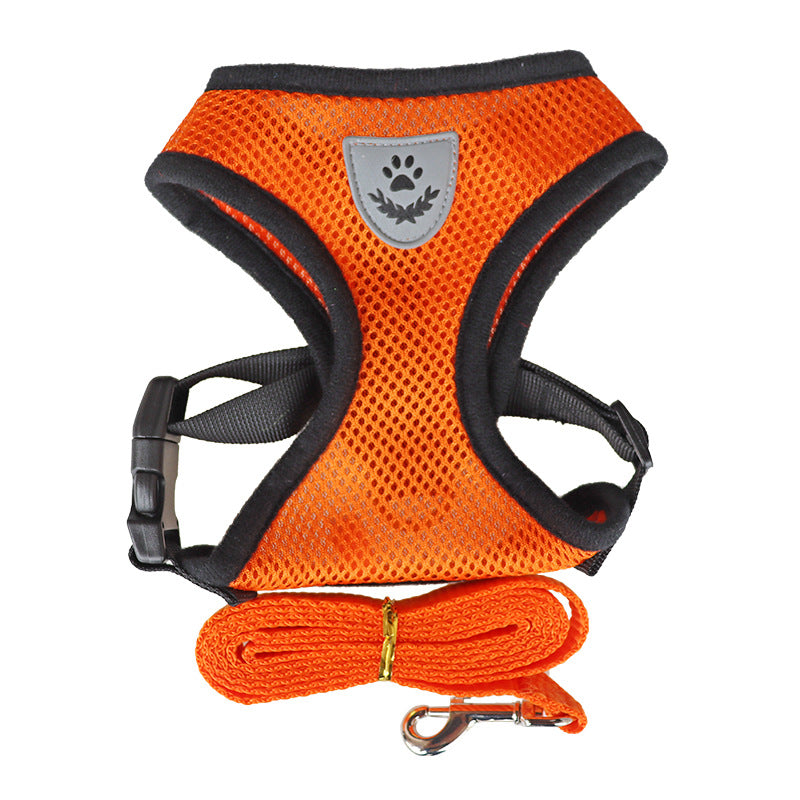 BreathableMesh Hundegeschirr & Leine Set – Ultraleicht & Komfortabel