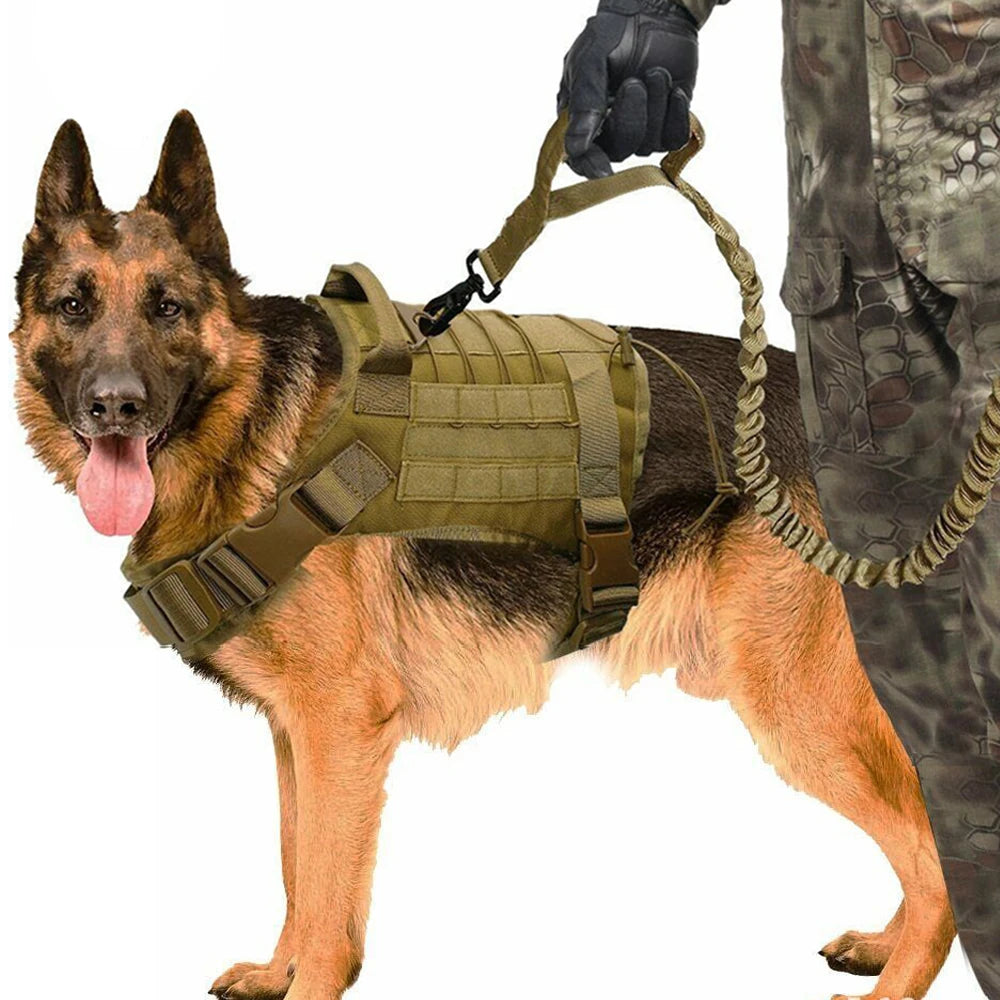 Taktisches Hundegeschirr – Robust, Atmungsaktiv & Militär-Look