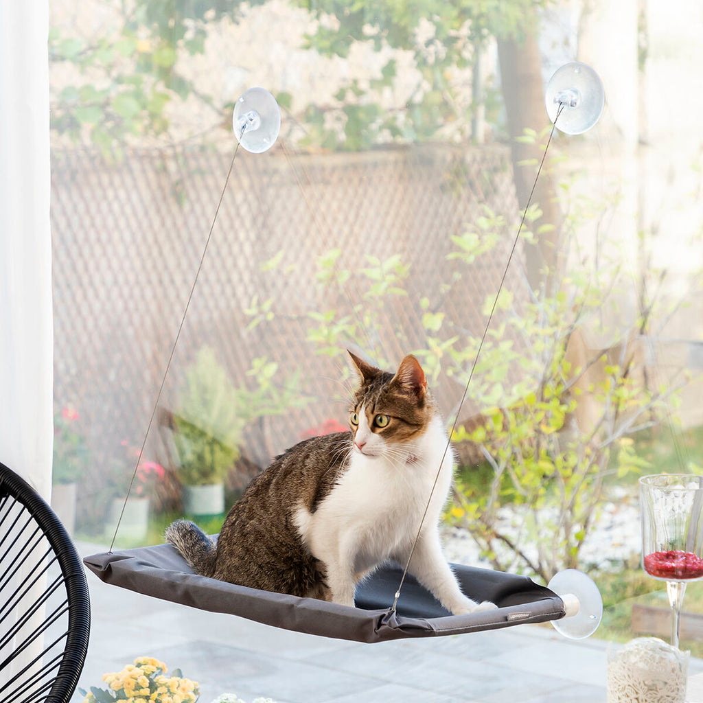 Katzenfensterliege Catlax – Ergonomische Hängematte für Fenster & Glasflächen (bis 30 kg)