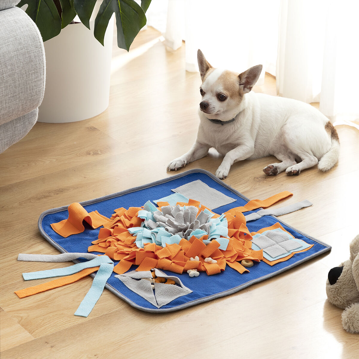 Schnüffelmatten für Hunde und Katzen