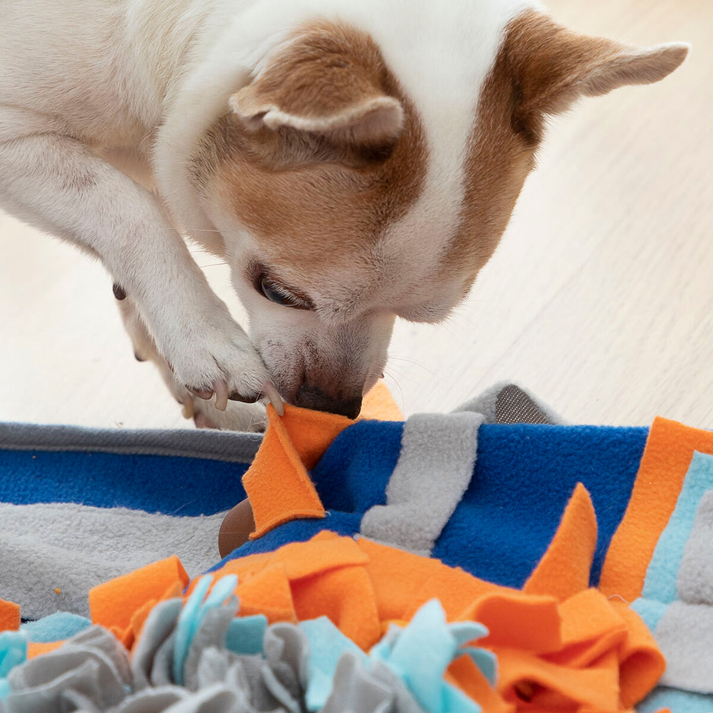 Schnüffelmatten für Hunde und Katzen