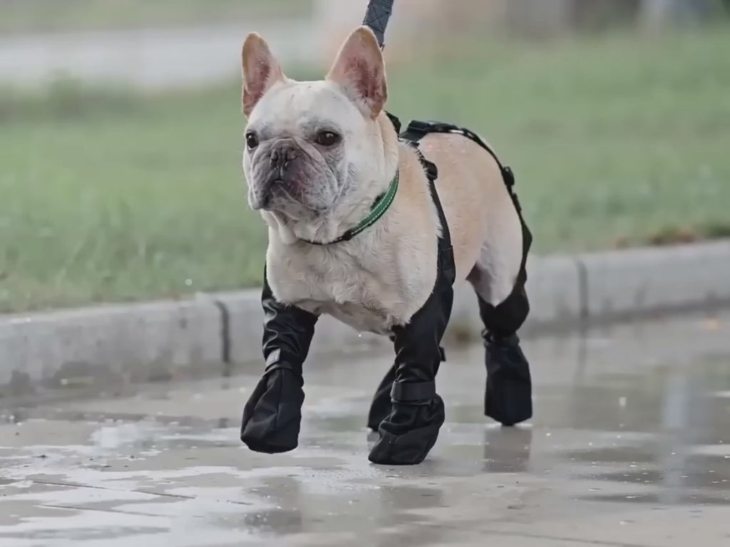 Wasserdichte Hundeschuhe mit Hosenträger-System – Rutschfeste Pfotenschutz-Boots