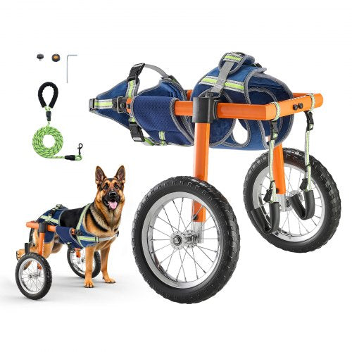 Verstellbarer Hunde-Rollstuhl für Hinterbeine – Leichtbau-Reha-Wagen für Hunde
