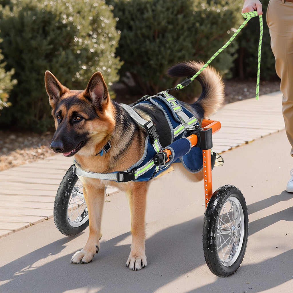 Verstellbarer Hunde-Rollstuhl für Hinterbeine – Leichtbau-Reha-Wagen für Hunde