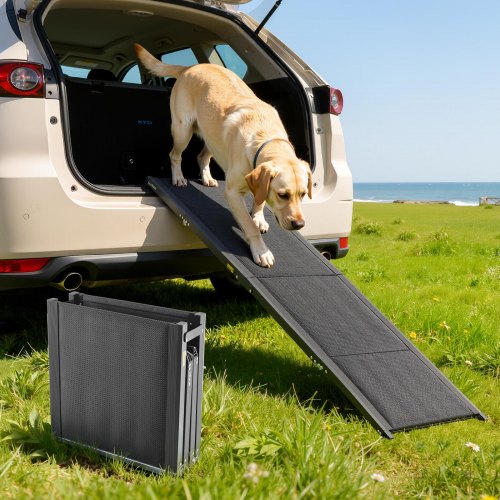 Klappbare Hunde-Autorampe (160 x 43,2 cm) – Belastbar bis 113 kg